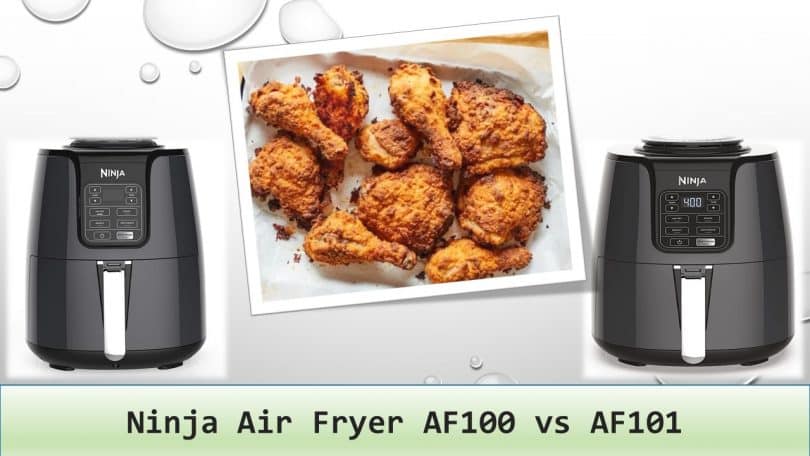 Ninja Air Fryer AF100 vs AF101