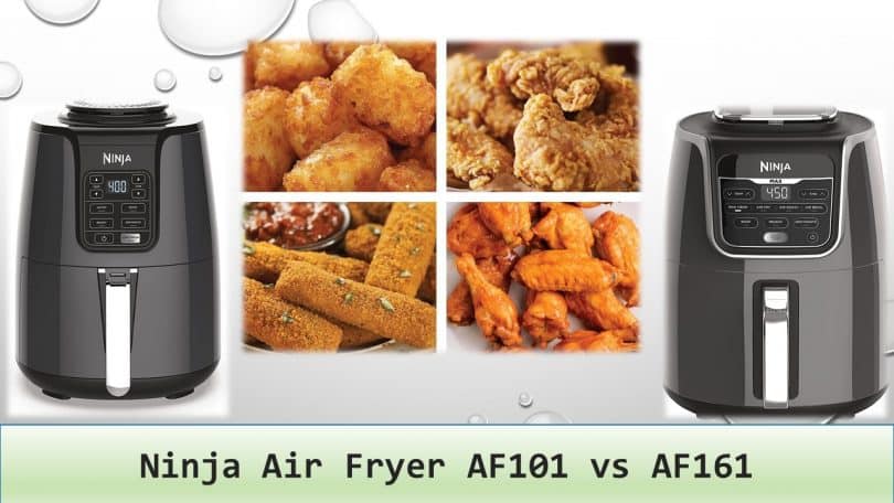Ninja Air Fryer AF101 vs AF161