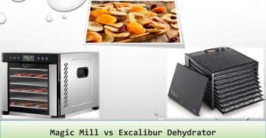 Magic Mill vs Excalibur Dehydrator